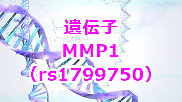 MMP1