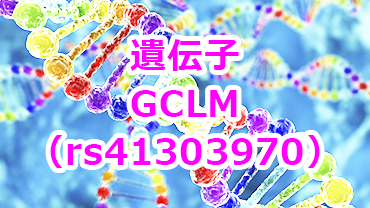 GCLM遺伝子